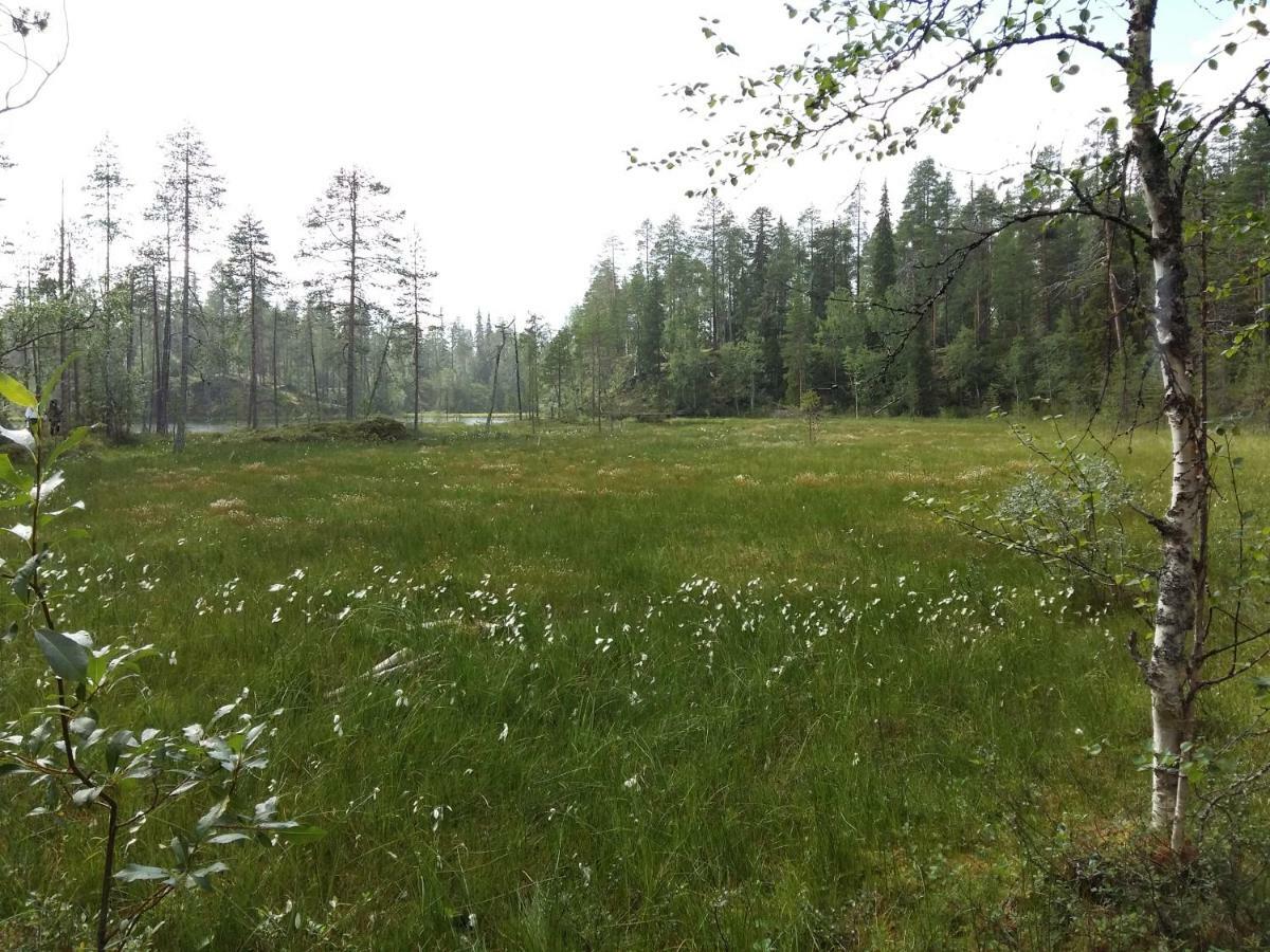 Salmikankaankelo C4 Ruka Exteriör bild